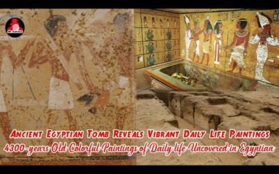 Exclusive: Vibrant depictions of everyday life found in a 4,300-year-old Egyptian tomb