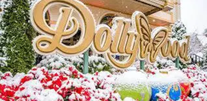 Entire Dollywood Staff Replaced by Robots for Christmas Guests Stunned by Humanlike ‘Elf’ Service