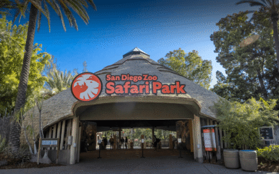 You Won’t Believe What You Can Do at the San Diego Zoo and Safari Park, A Wild Experience Awaits